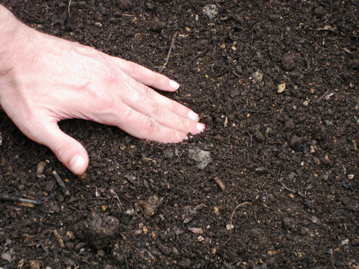 ht-hands-soil